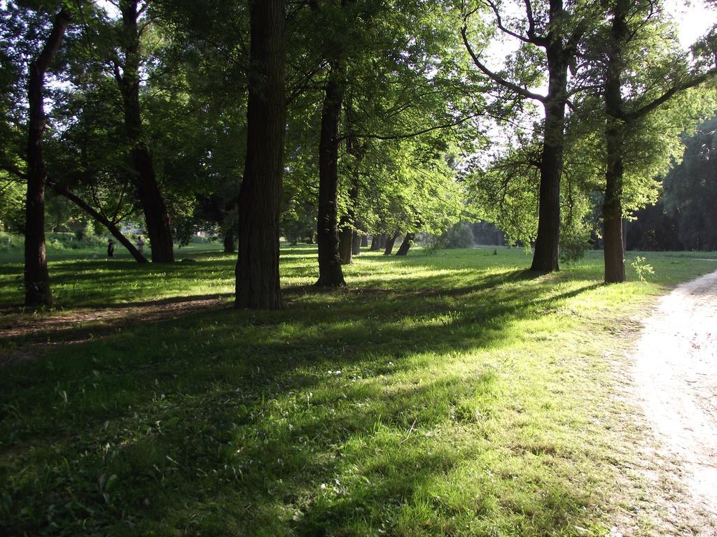 Üdülőpark Bungalow Park