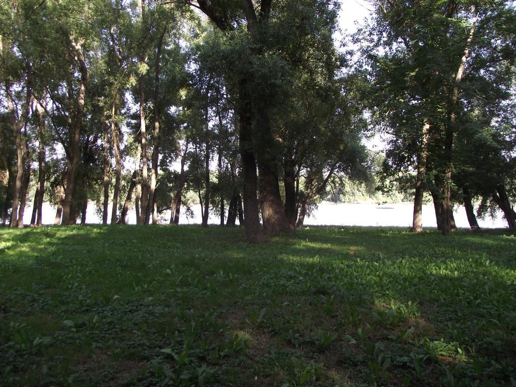 Bungalow Park Üdülőpark Szentendre